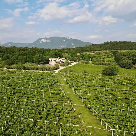 Serene Holiday And Wine Farm Affi Exteriör bild