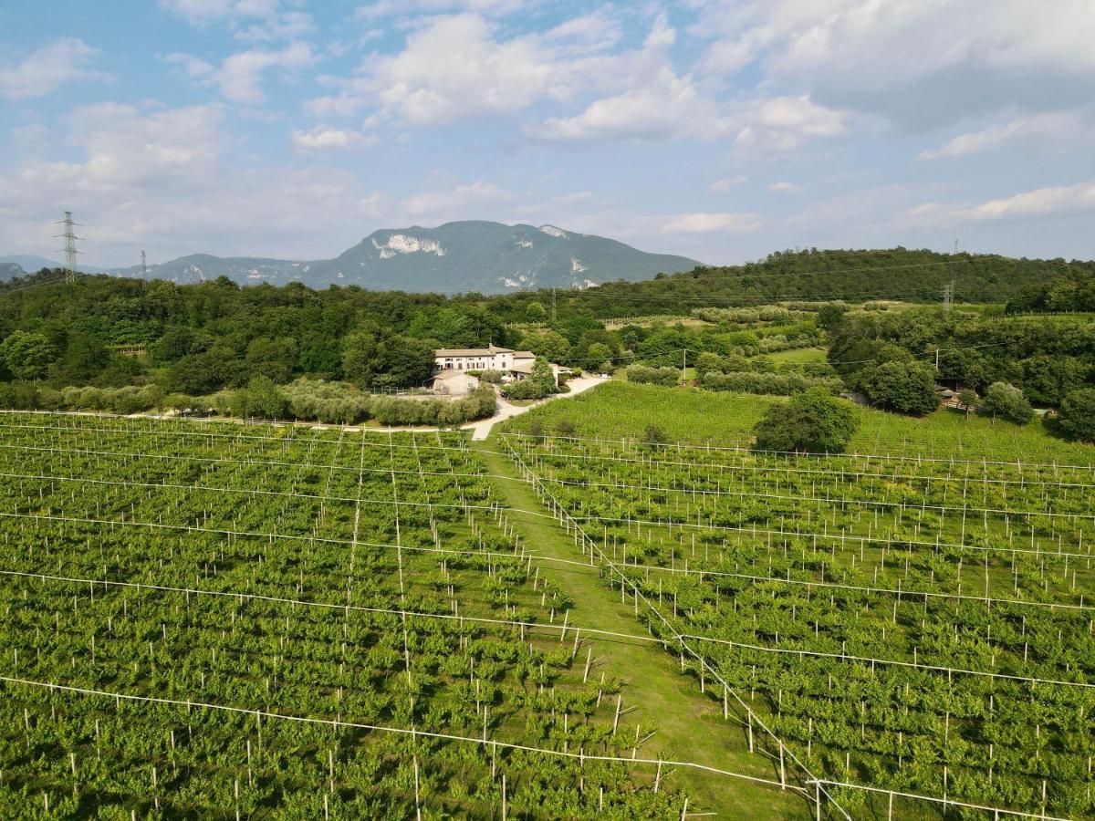 Serene Holiday And Wine Farm Affi Exteriör bild