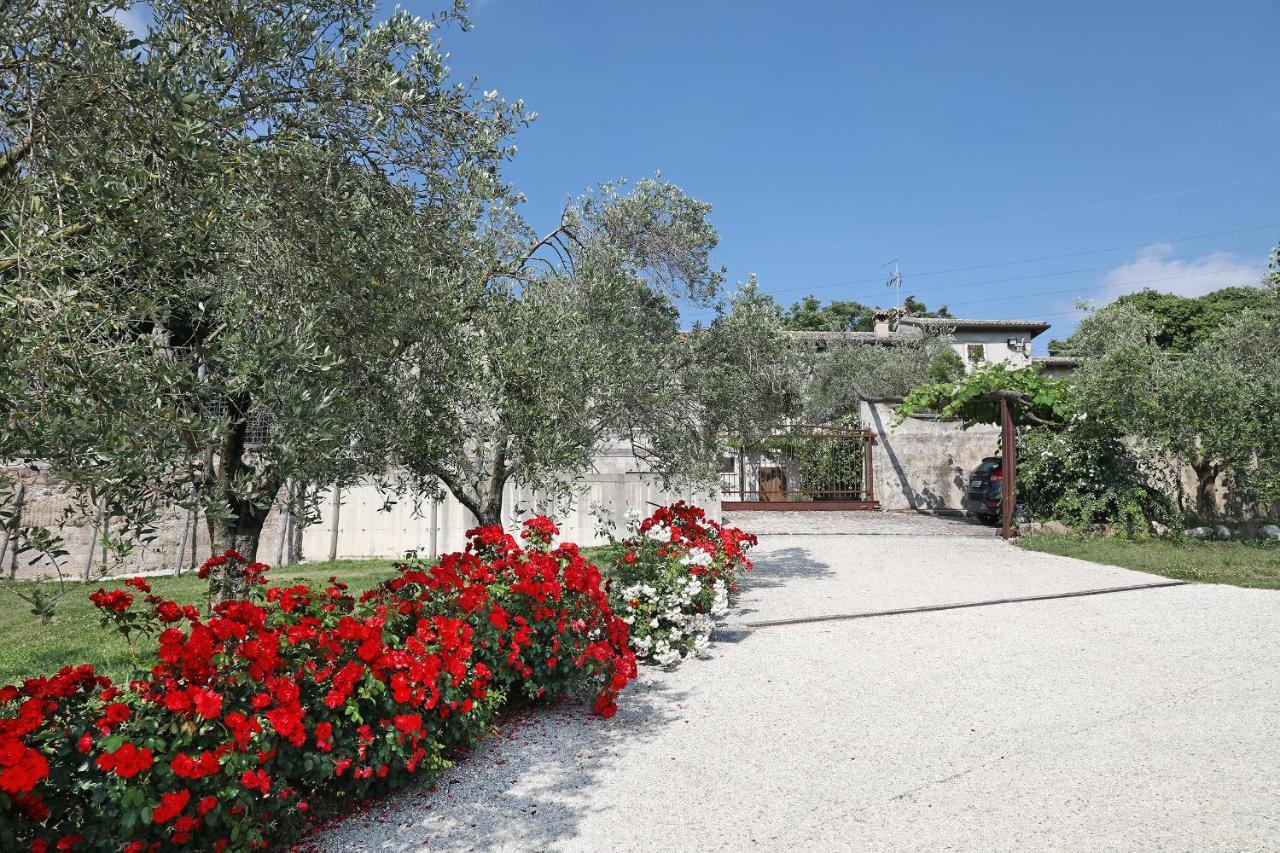 Serene Holiday And Wine Farm Affi Exteriör bild