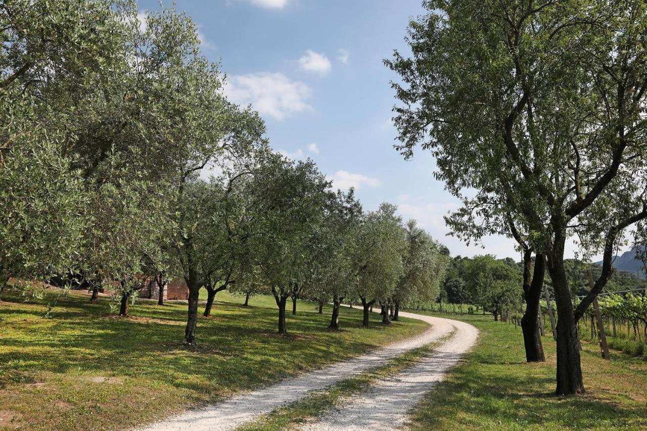 Serene Holiday And Wine Farm Affi Exteriör bild