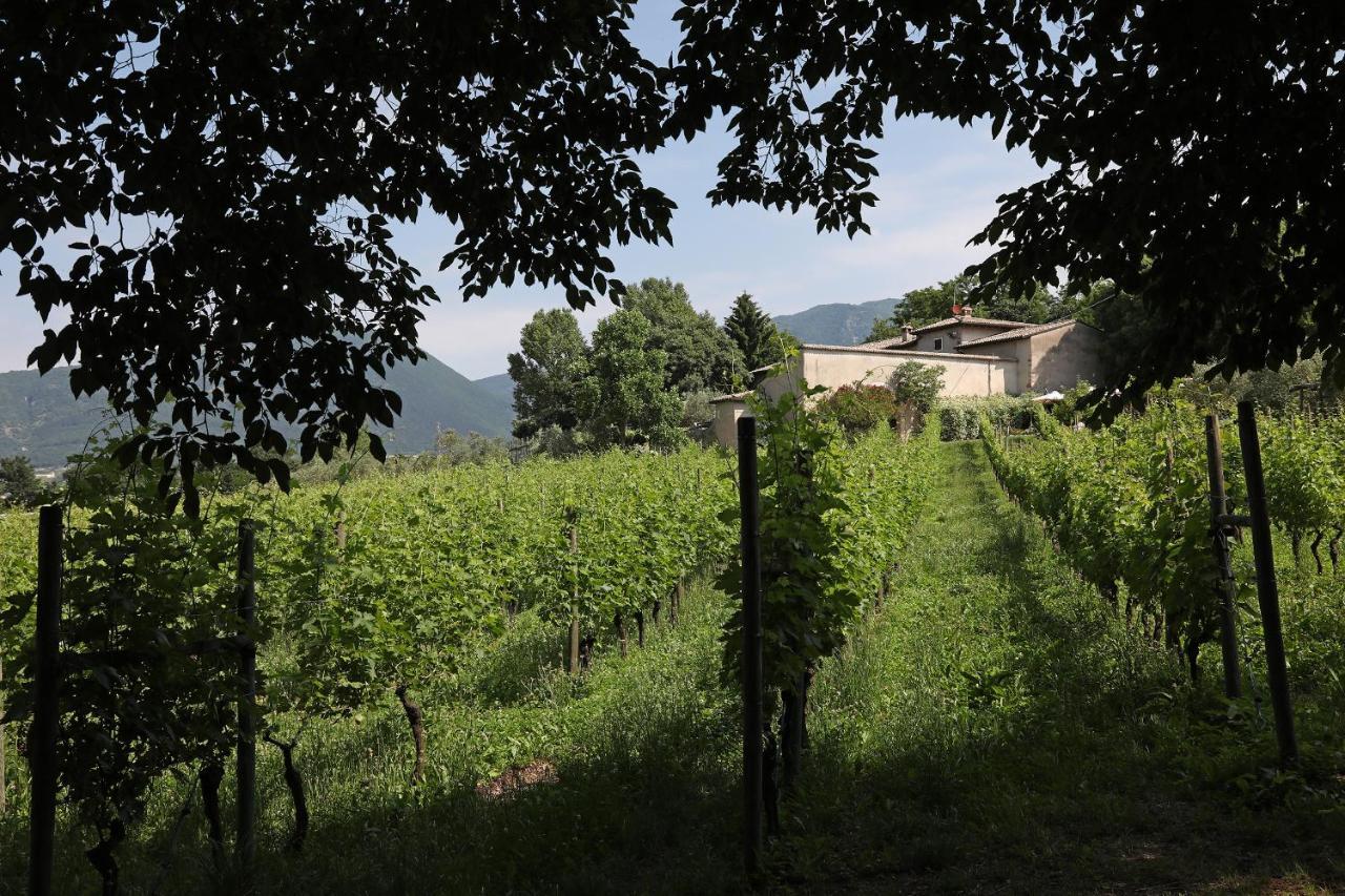 Serene Holiday And Wine Farm Affi Exteriör bild